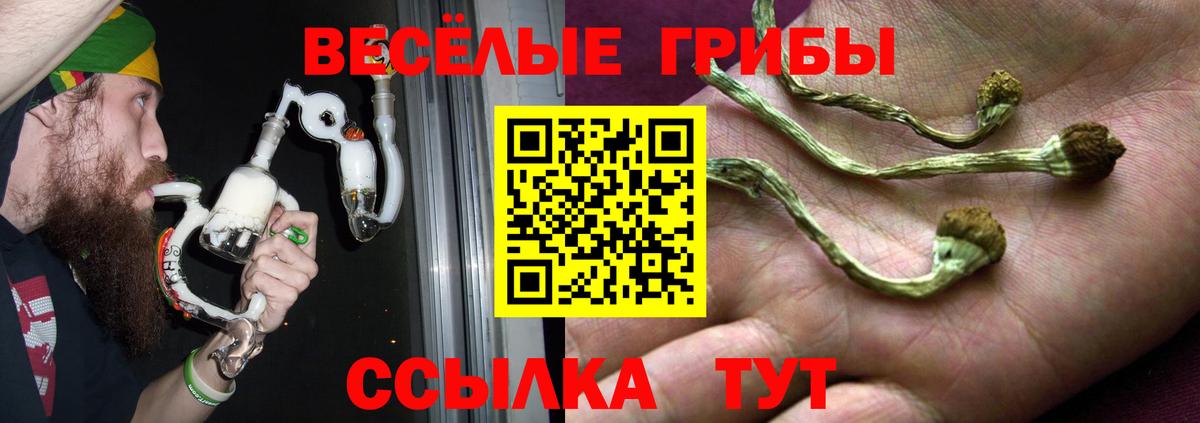 Галлюциногенные грибы мухоморы  Вход с VPN  Сертолово 