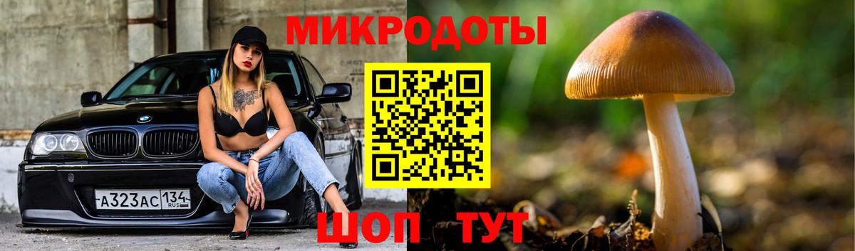 Псилоцибиновые грибы Cubensis Сертолово