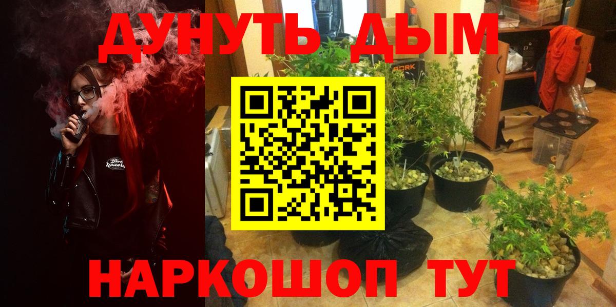 Сертолово  Бошки марихуана конопля  Вход с VPN  Конопля план  МАРИХУАНА White Widow  Каннабис OG Kush 